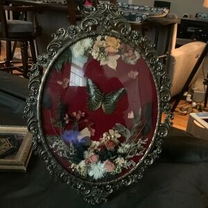 Custom handmade real framed butterfly